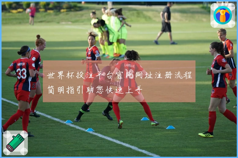 世界杯投注平台官网网址注册流程简明指引助您快速上手