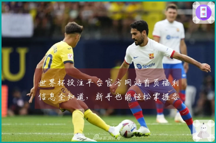 世界杯投注平台官方网站首页福利信息全知道，新手也能轻松掌握各项福利攻略