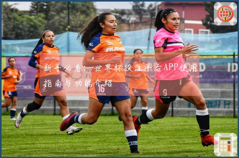 新手必看：世界杯投注平台APP使用指南与功能介绍