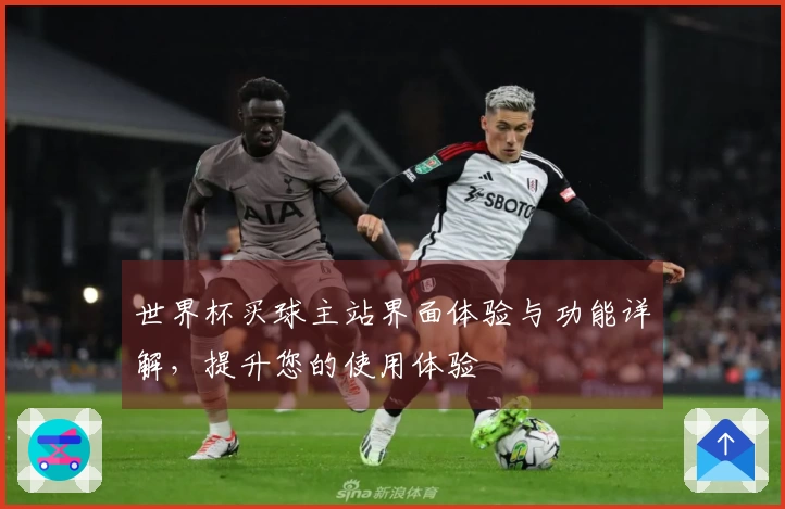 世界杯买球主站界面体验与功能详解，提升您的使用体验
