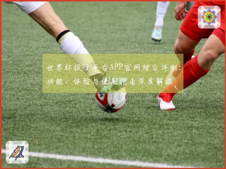 世界杯投注平台APP官网综合评测：功能、体验与使用指南深度解读