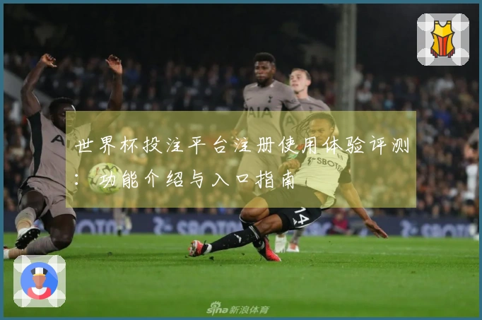 世界杯投注平台注册使用体验评测：功能介绍与入口指南