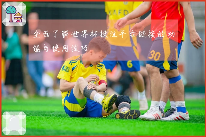 全面了解世界杯投注平台链接的功能与使用技巧