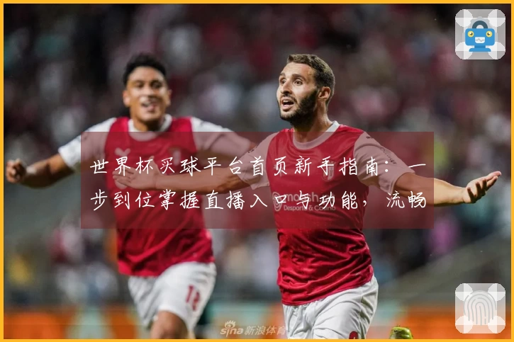 世界杯买球平台首页新手指南：一步到位掌握直播入口与功能，流畅体验全攻略