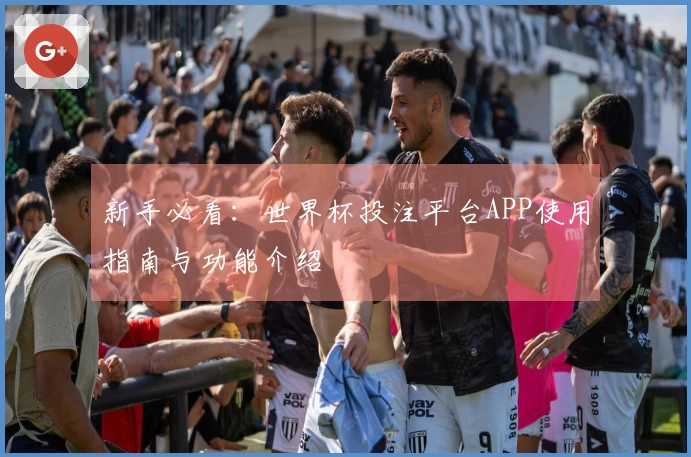 新手必看：世界杯投注平台APP使用指南与功能介绍