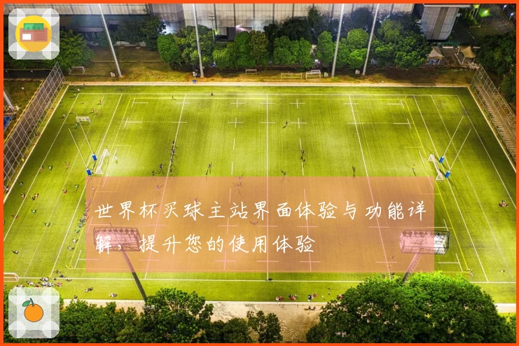 世界杯买球主站界面体验与功能详解,提升您的使用体验