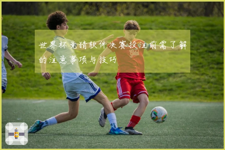 世界杯竞猜软件决赛投注前需了解的注意事项与技巧