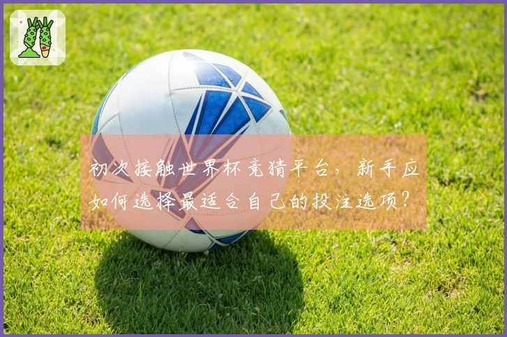 初次接触世界杯竞猜平台，新手应如何选择最适合自己的投注选项？