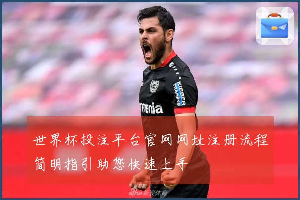 世界杯投注平台官网网址注册流程简明指引助您快速上手