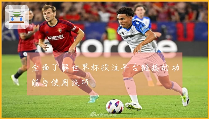 全面了解世界杯投注平台链接的功能与使用技巧