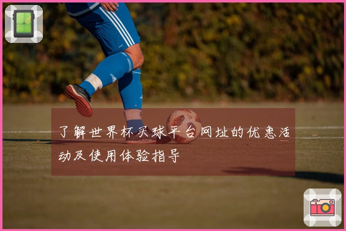 了解世界杯买球平台网址的优惠活动及使用体验指导