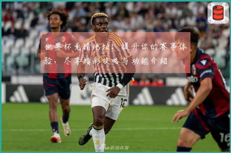 世界杯竞猜地址：提升你的赛事体验，尽享精彩攻略与功能介绍