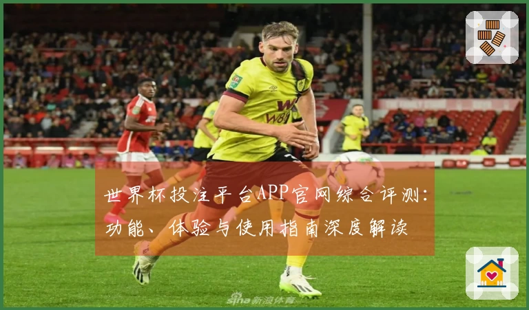 世界杯投注平台APP官网综合评测：功能、体验与使用指南深度解读